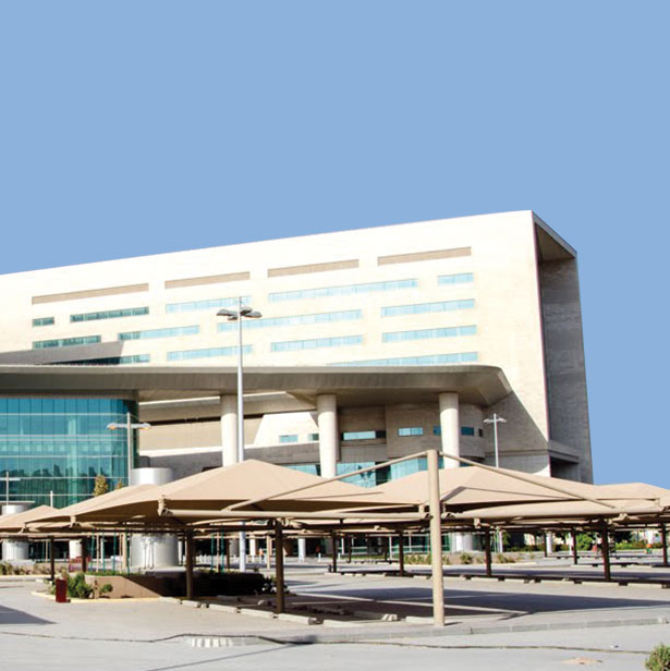 Hamad Hospital
