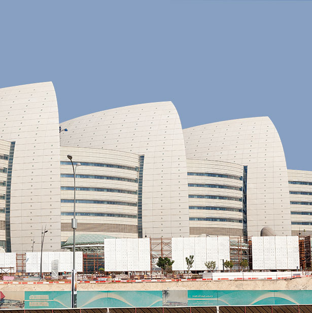 Sidra Medical and Research Center
