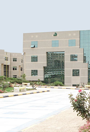 King Khaled University